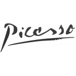 Citroen Picasso